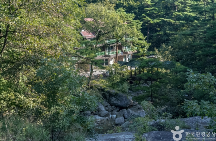 국립 대관령자연휴양림 모습