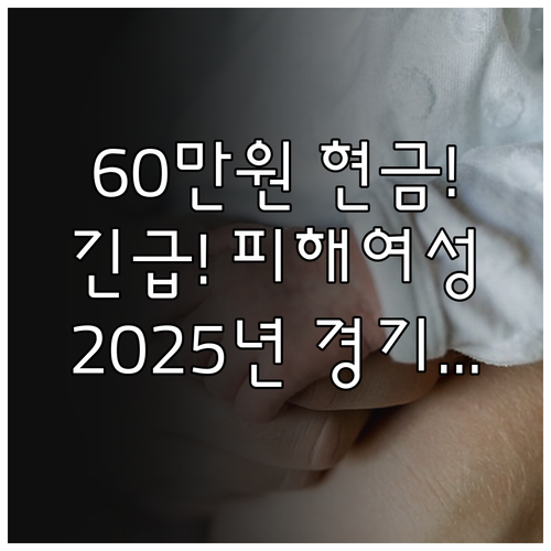 매월 60만원 현금 지원 2025년 ..