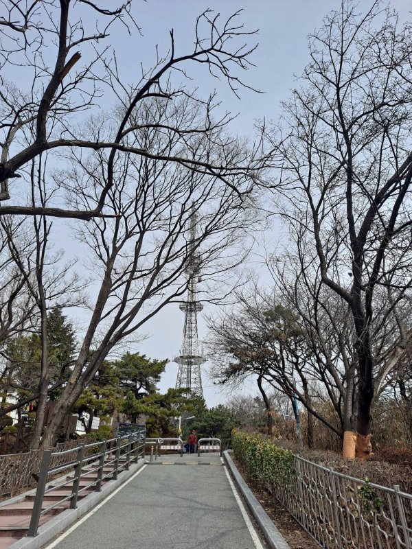 수봉산 송신탑 보이다