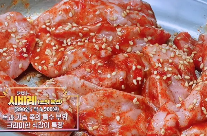 시비레