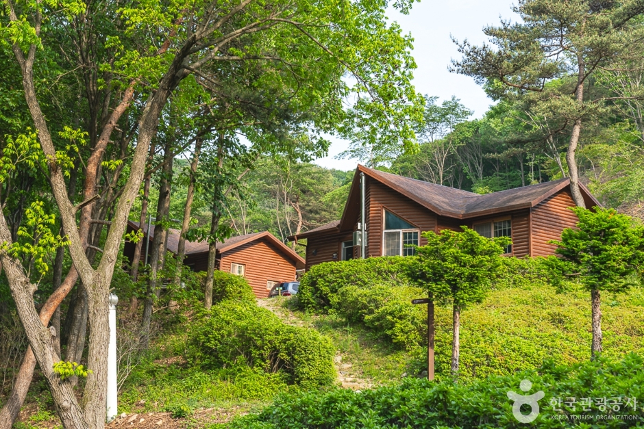 서산 가볼만한곳 베스트10