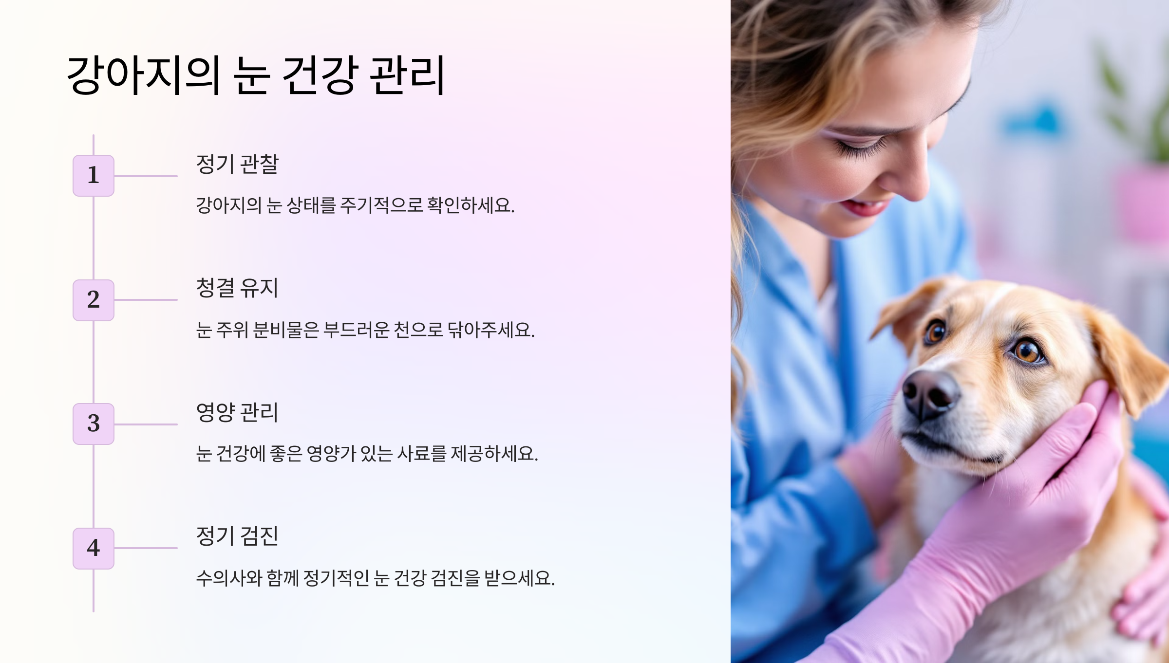 강아지의 눈 건강 관리