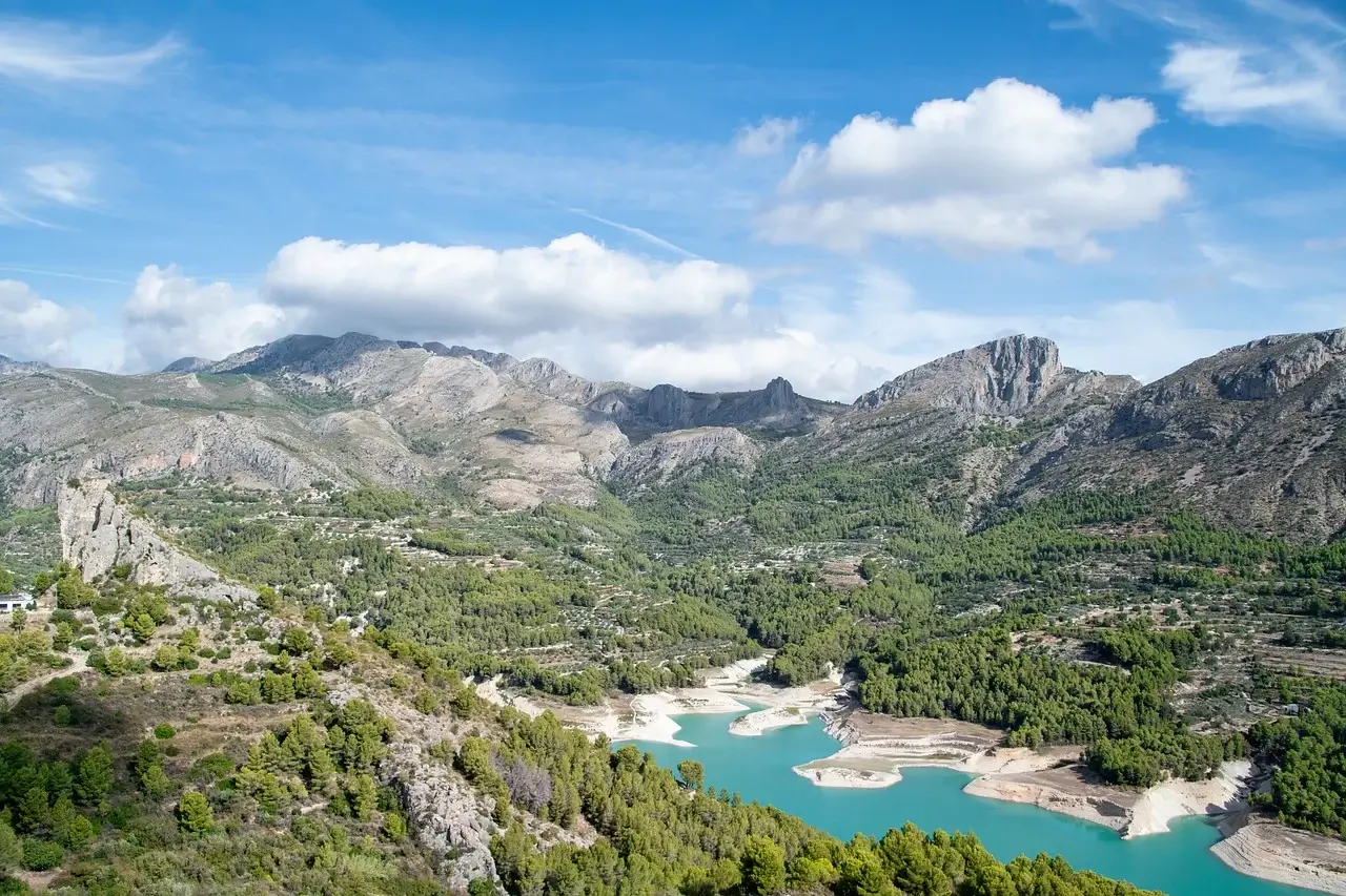 2025년 농업경영체등록확인서 발급, 어렵지 않아요