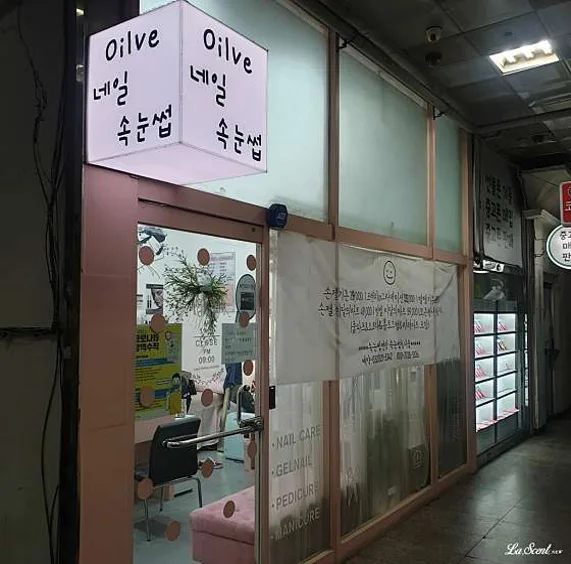 올리브네일속눈썹