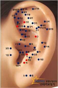 귀 혈자리 위치 지압법