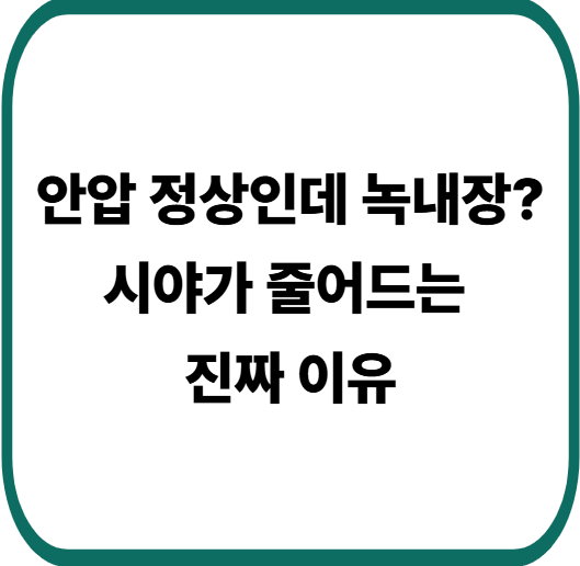 안압 정상인데 녹내장 진단? 정상안압성 녹내장 원인과 치료 총정리