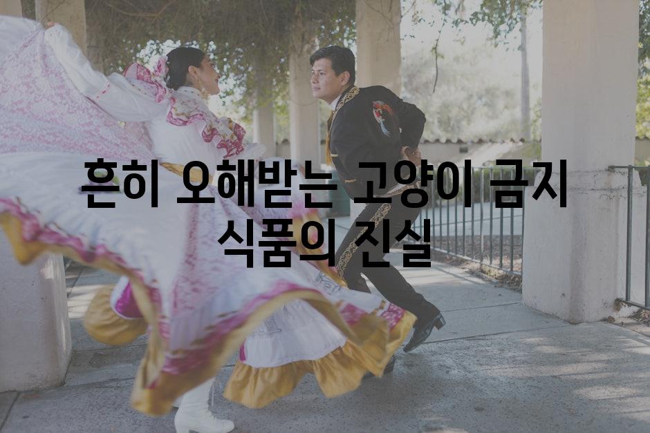 흔히 오해받는 고양이 금지 식품의 진실