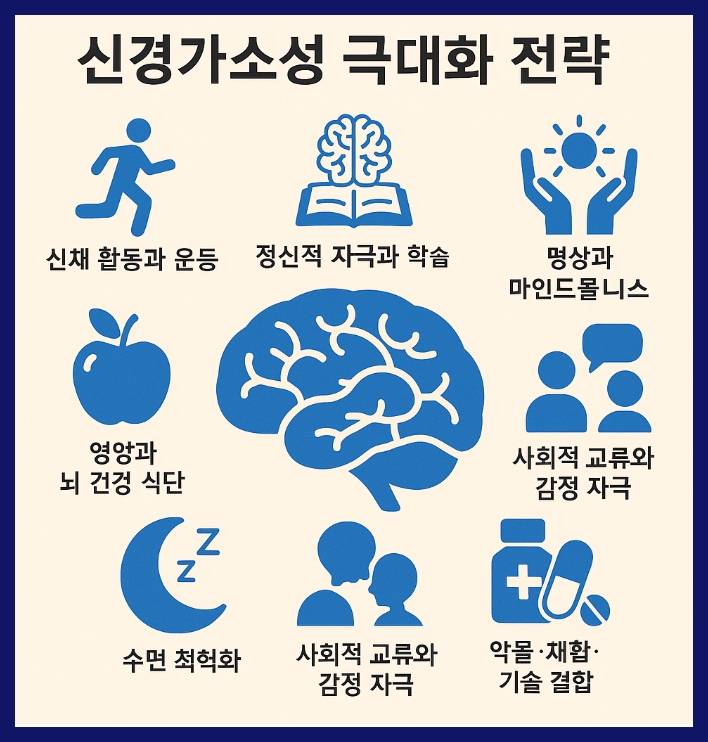 약물과 훈련의 시너지 신경가소성 극대화 전략