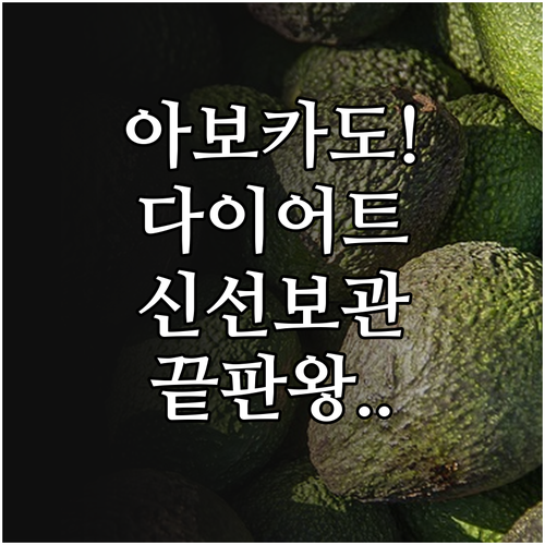 아보카도 샌드위치 다이어트 식단 구성..
