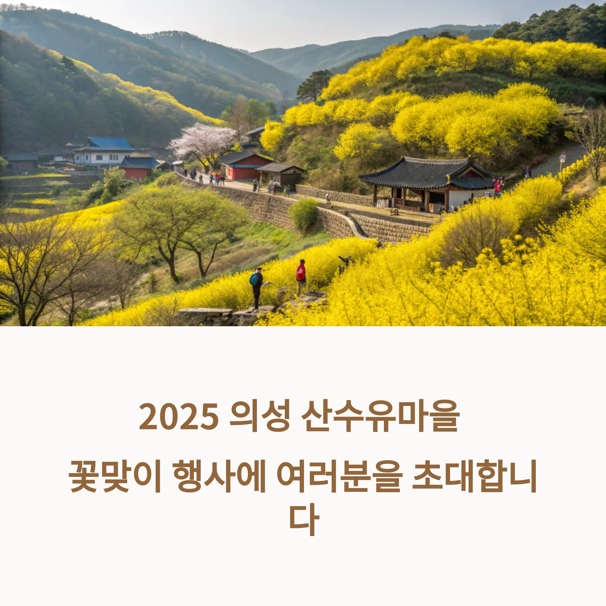 2025 의성 산수유축제 언제 시작? 산수유마을 꽃맞이행사 총정리