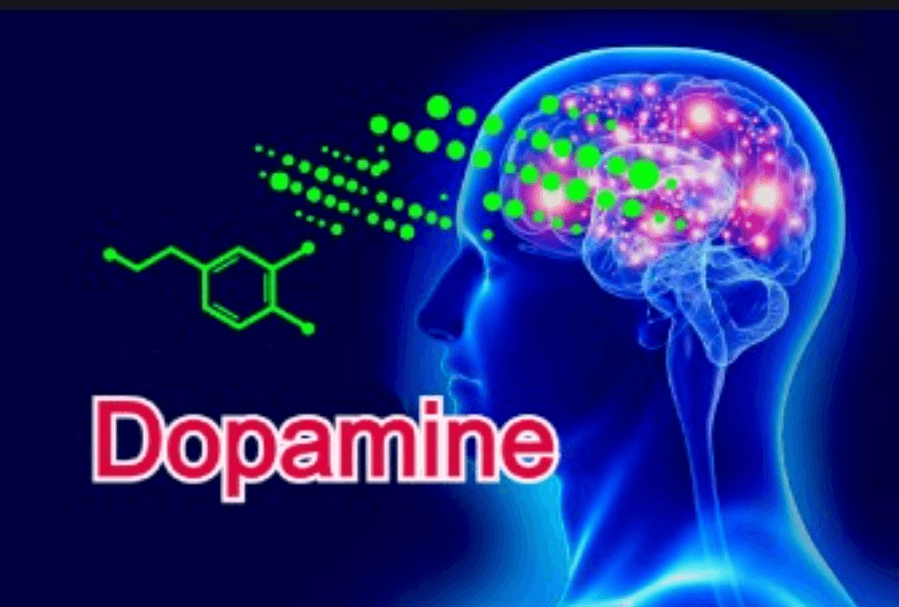 도파민 부족으로 생기는 병