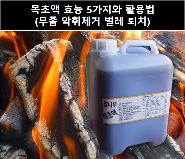 목초액 효능 5가지