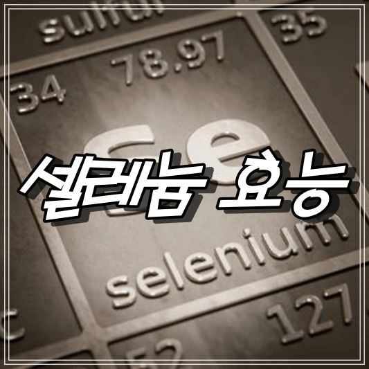 셀레늄효능