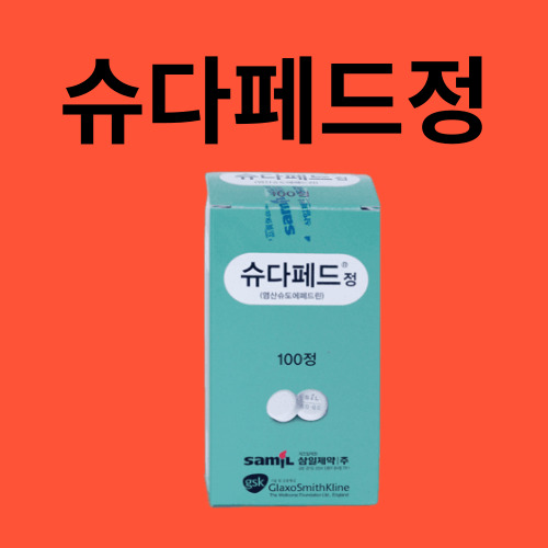 슈다페드정