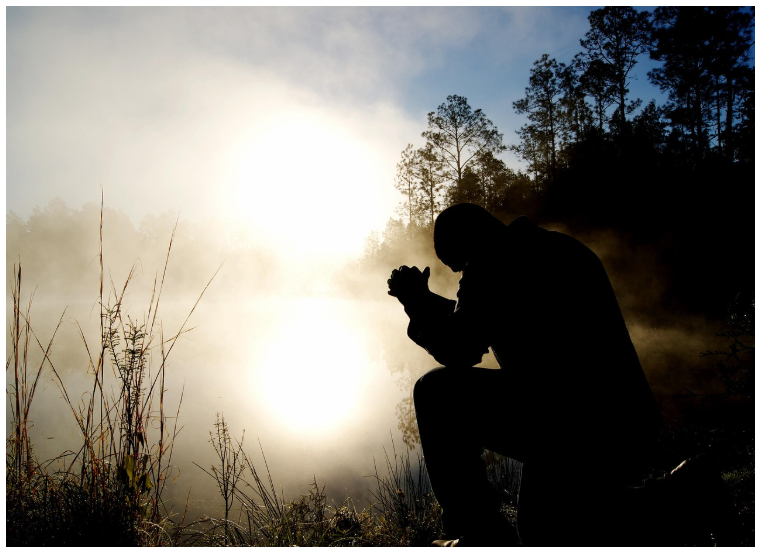 췌장암의 모든 것: 원인, 증상, 치료와 관리