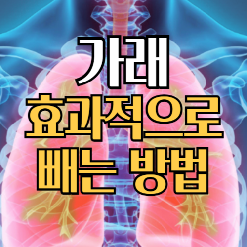 가래 효과적으로 빼는법