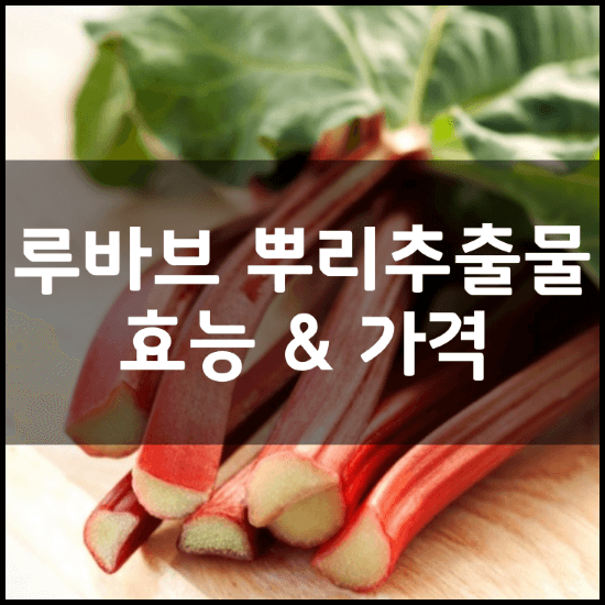 루바브-뿌리-추출물-분말-가루-썸네일