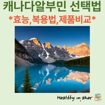알부민 영양제 비교 추천가격 용량 특징_29