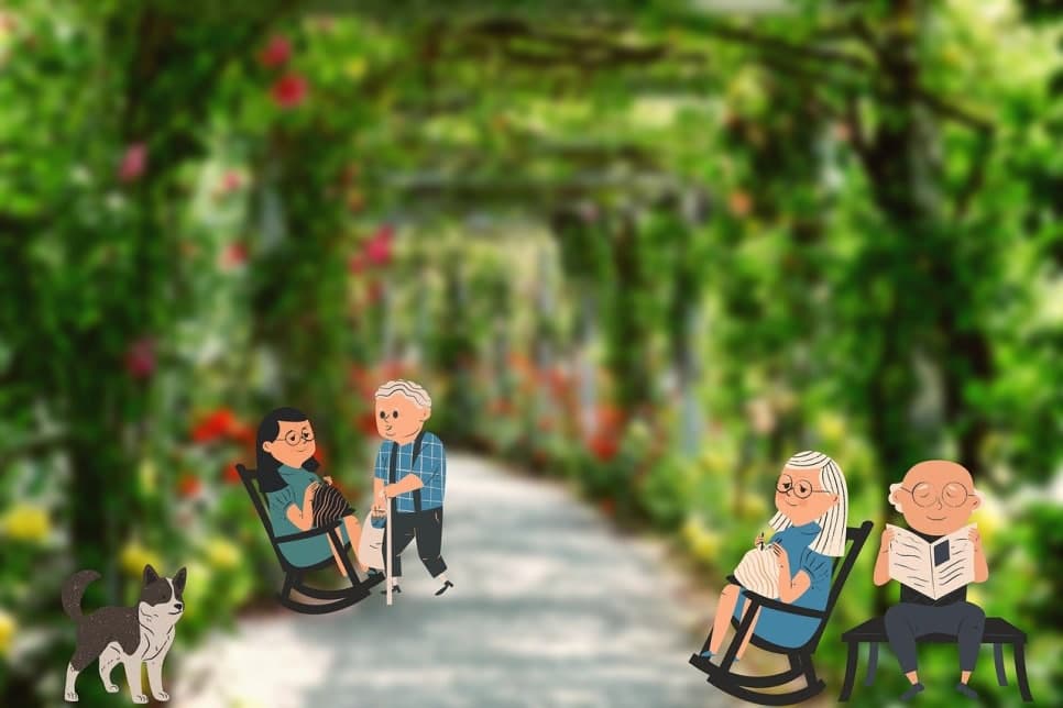 노화와 관련된 질병, 심혈관계(3)
죽상동맥경화