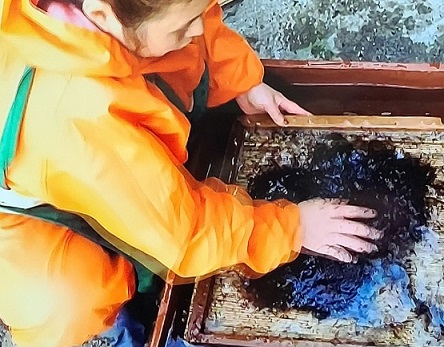 한국기행-울릉도-돌김-고로쇠