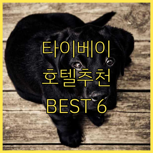 타이베이 호텔 추천 BEST 6 위치, 가격, 후기 비교 분석! 타이베이 호텔 추천 BEST 6 위치