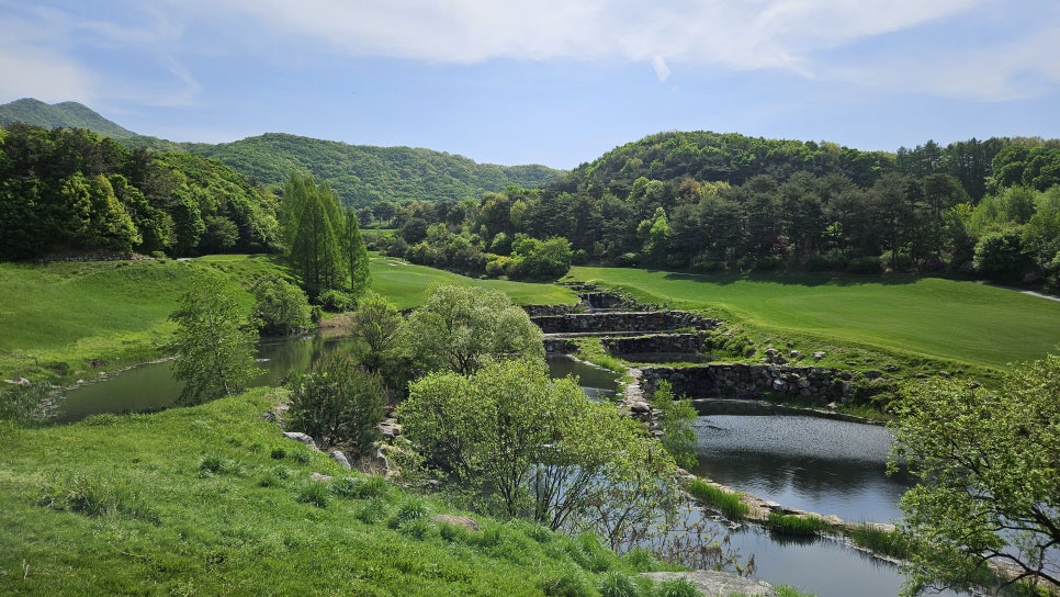 골프장 경험담 음성 레인보우힐스cc 자연미와 챌린지가 공존하는 명품 골프 코스