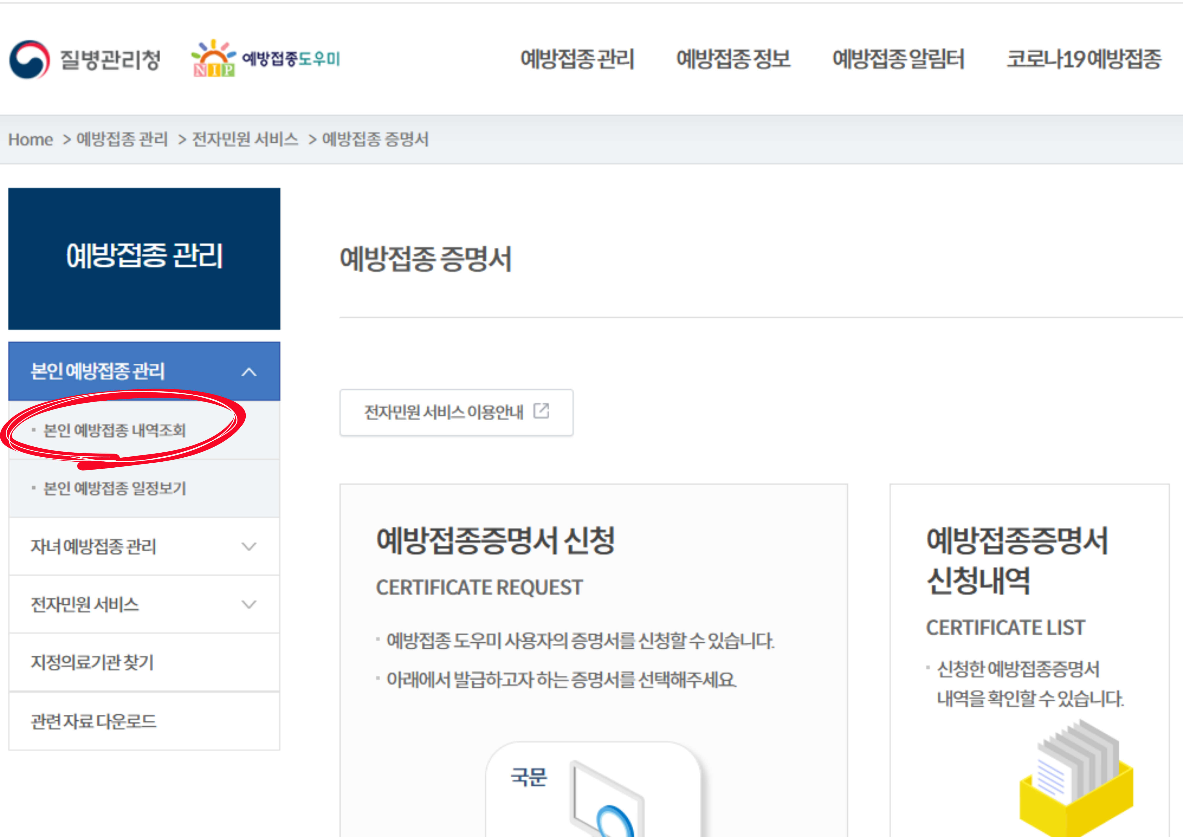 백일해 검사 비용 실비적용