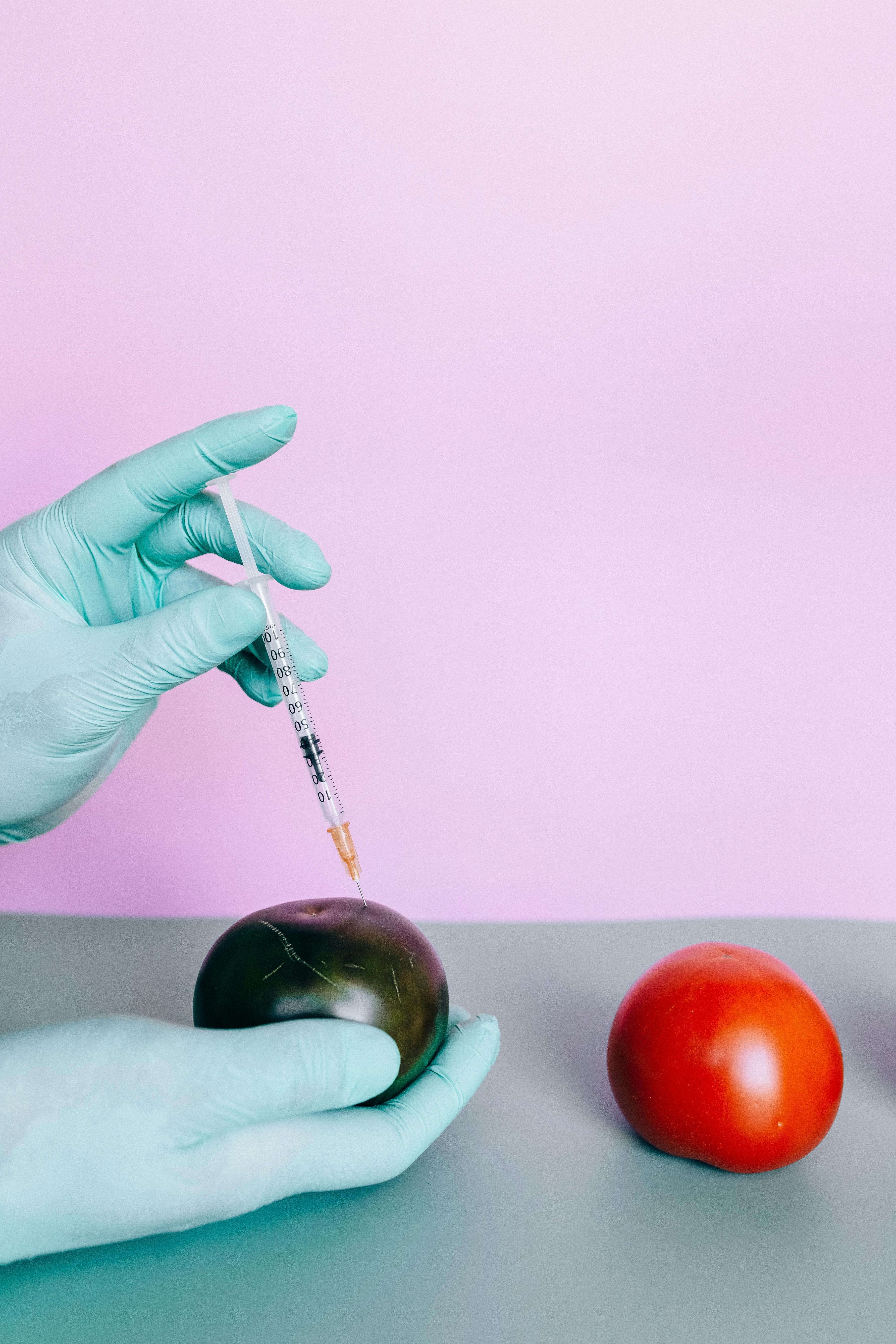 GMO(유전자변형농산물)와 몬산토