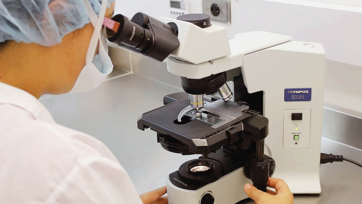 임상병리학 ; 스트레스, 피로, 성호르몬 이상 ❘ "내 몸의 호르몬 균형은 괜찮을까?" ❘ 코르티솔 · 테스토스테론 · 에스트로겐 검사 가이드