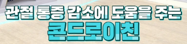 콘드로이친