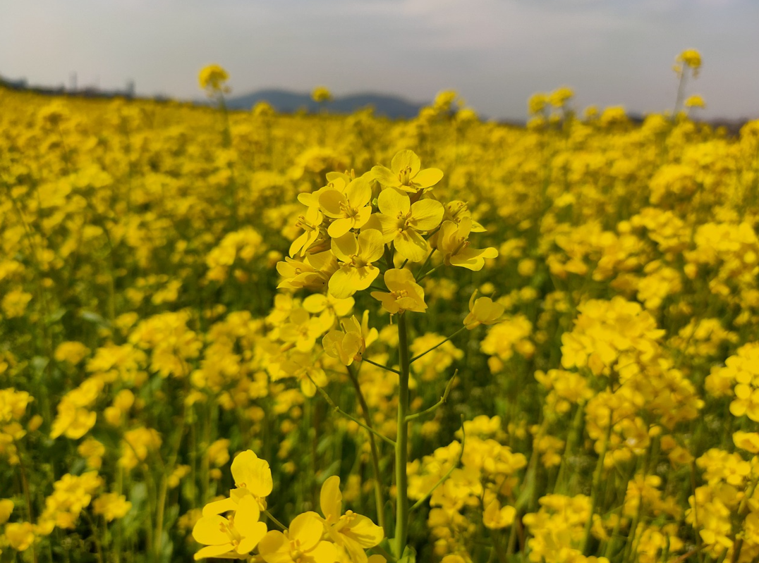 추석 연휴 국내 여행지 추천 5곳