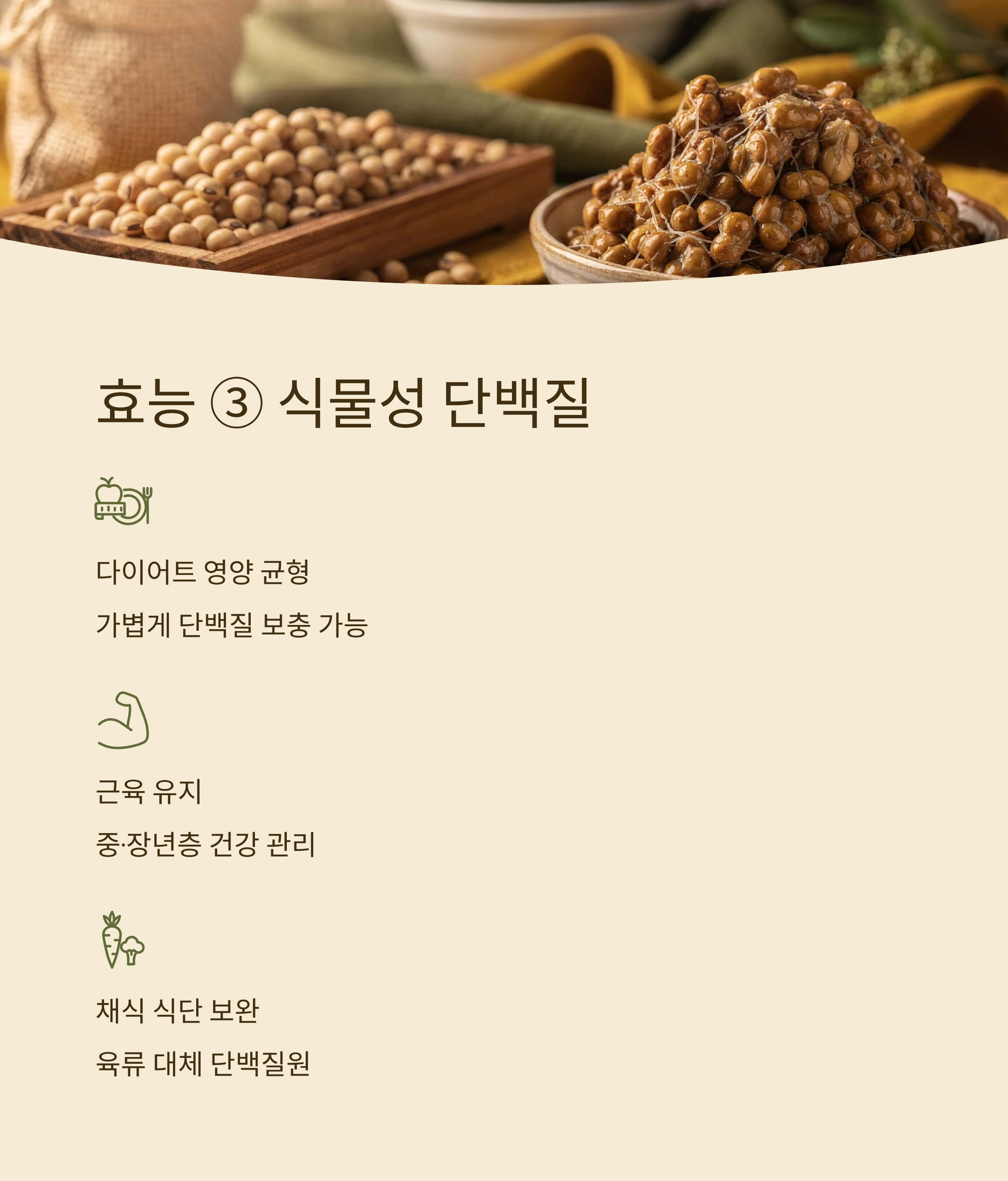 낫또의 효능 식물성 단백질 보충