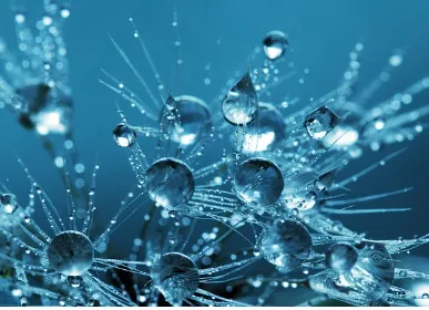 2024년 올해 장마기간 시작 예측 대비