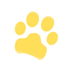 호랑이발톱 게임: 전략과 경쟁이 만나는 보드 게임