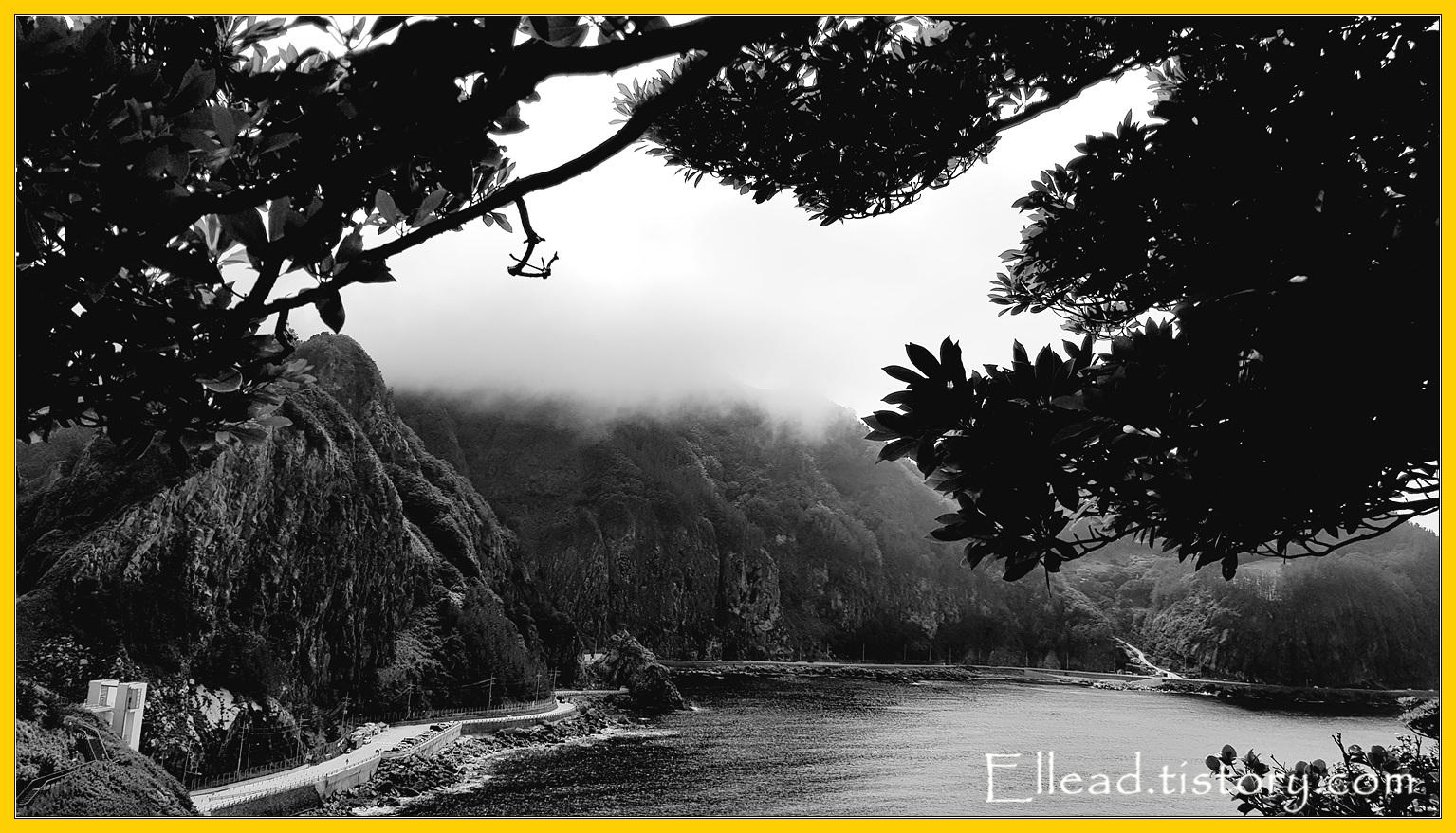 울릉도 본섬이 안개에 가려져 있다.