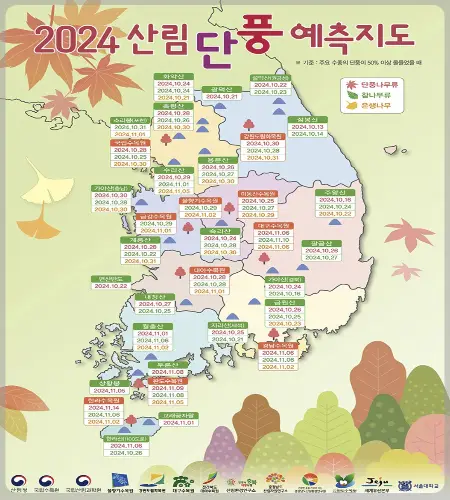 내장산 단풍_2