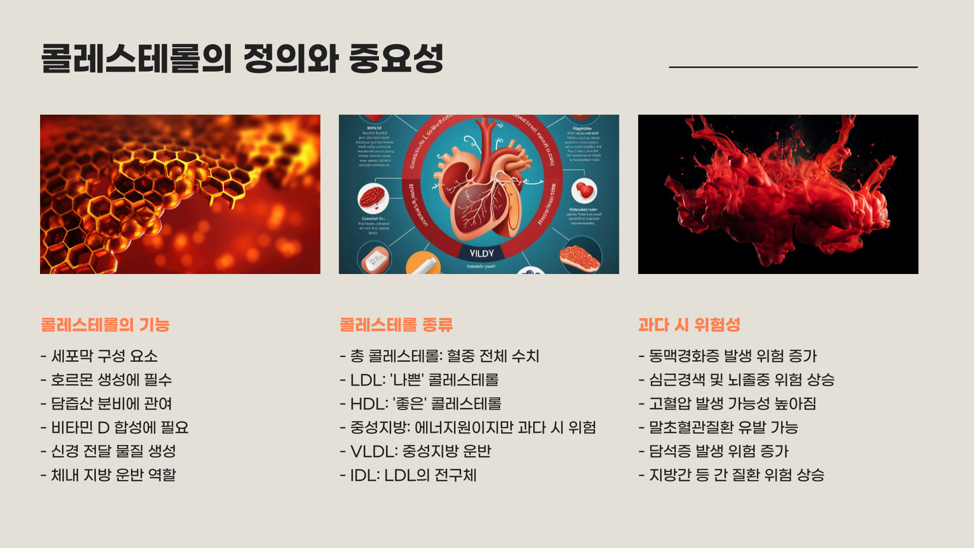 콜레스테롤 정상수치