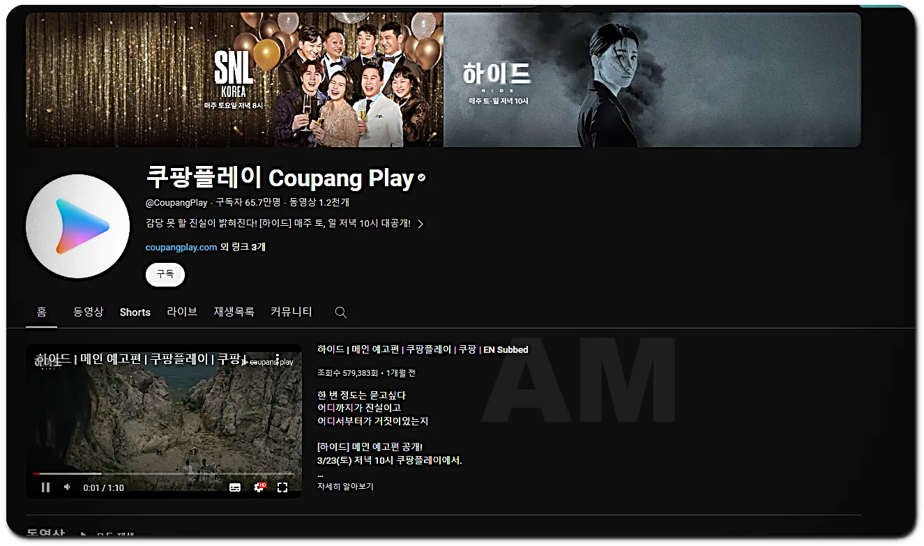 쿠팡플레이유투브