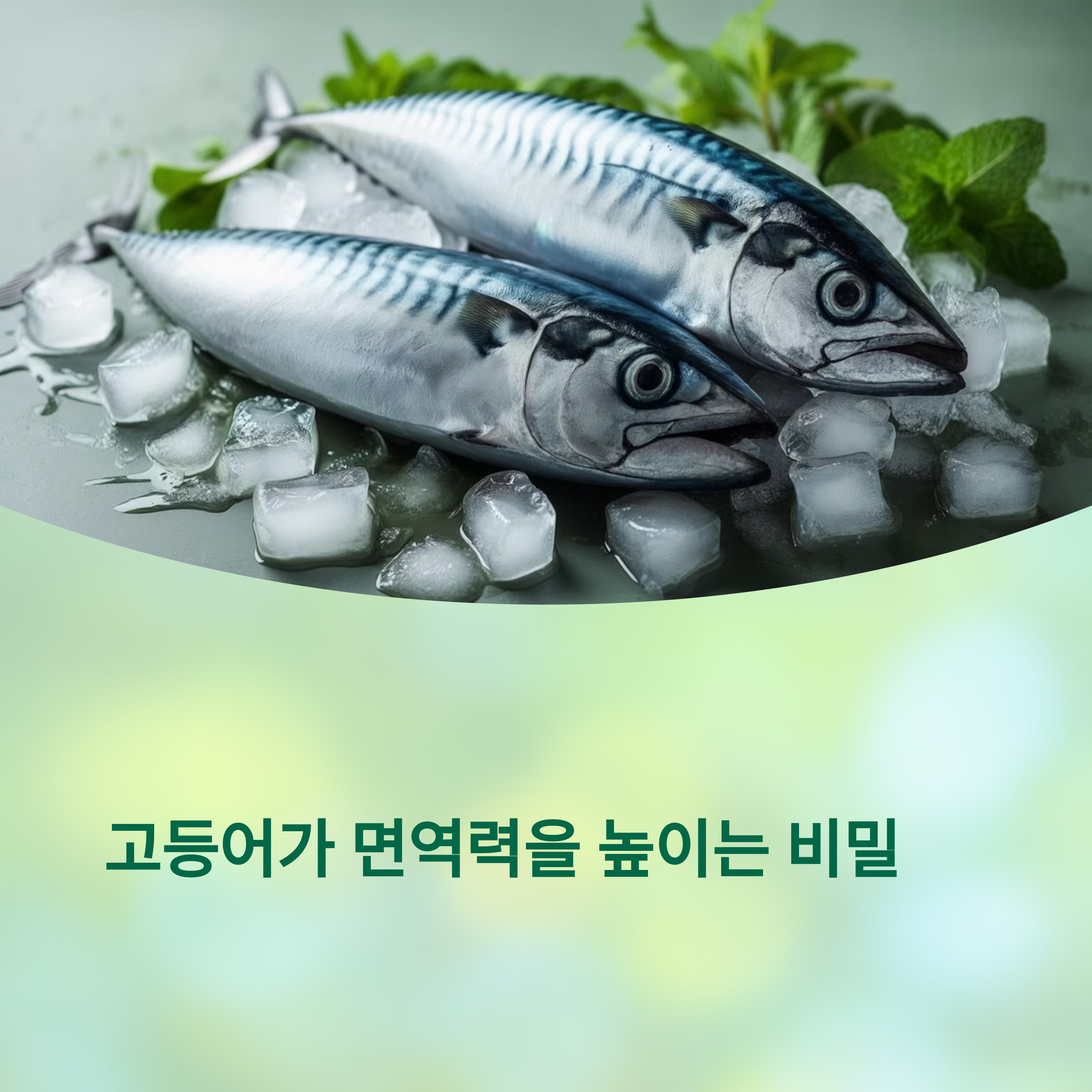 고등어에 숨겨진 면역력 강화 비밀
