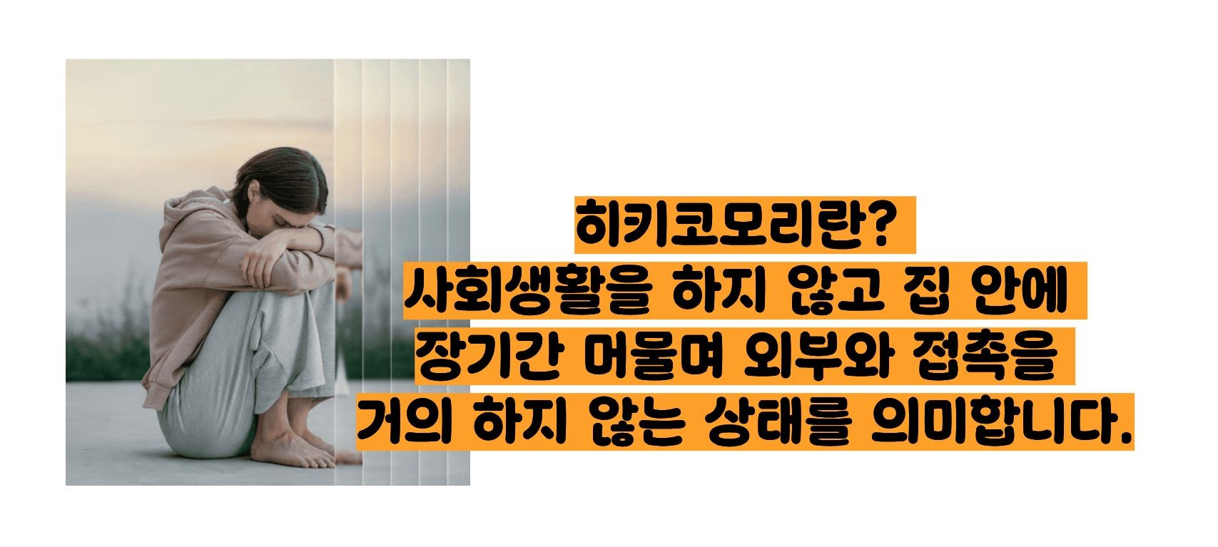 히키코모리 뜻