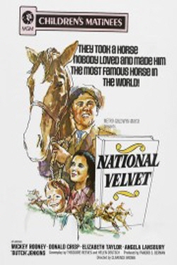 동물 말을 소재로한 최고의 영화 다시보기 추천 - 녹원의 천사