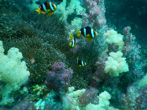 태국 여행 인기 도시 카오락