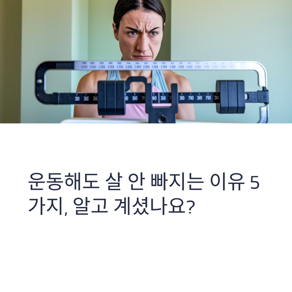 운동해도 살 안 빠지는 이유 5가지