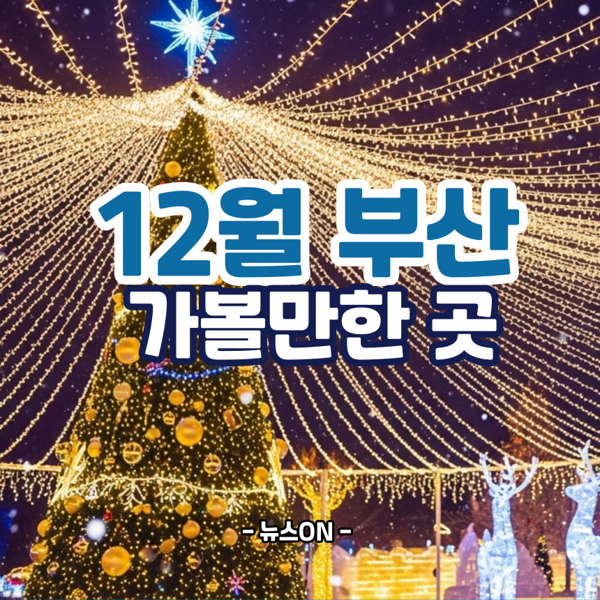 12월 부산 가볼만한곳