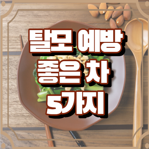 탈모에 좋은차 5가지 알아보기