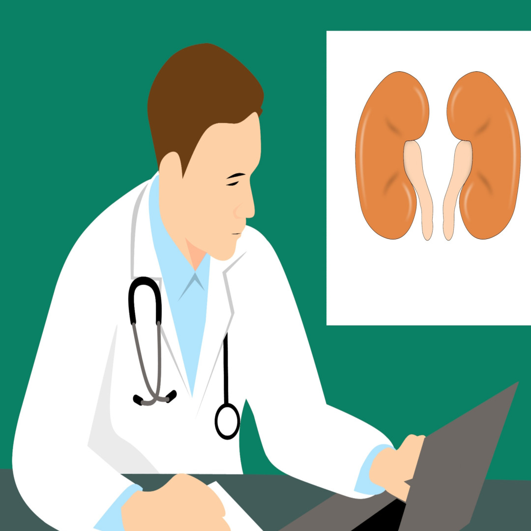 한국인 야간뇨 증가 원인 / 식습관, 생활패턴, 의료통계