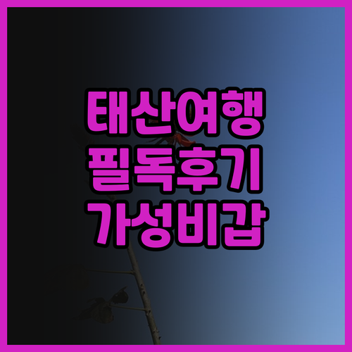 태산 여행객 필독! PARK PLAZ..