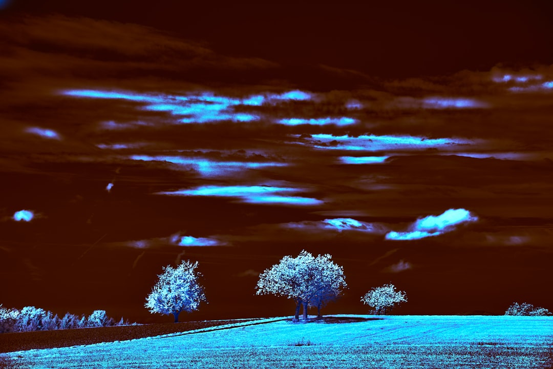 Dream Interpretation