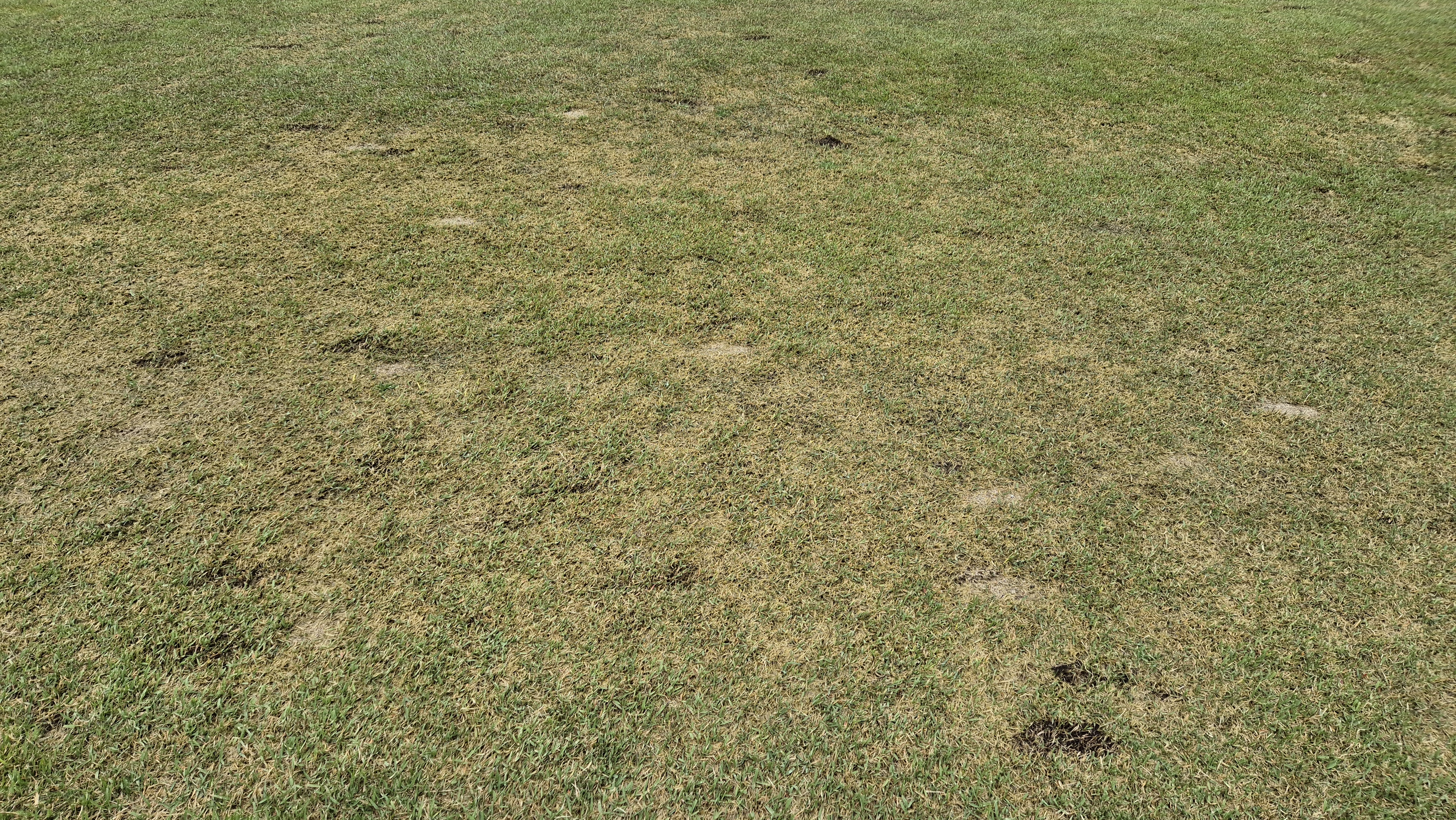 엘리시안 강촌cc 라운드 후기