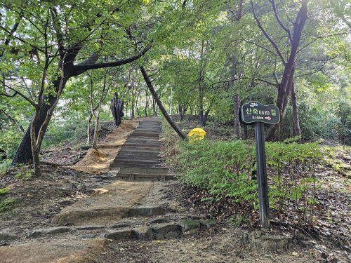 남원 가볼만한 곳- 애기봉에서 맨발걷기, 산책, 등산하세요